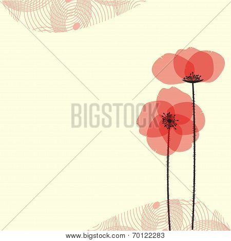 Poppy