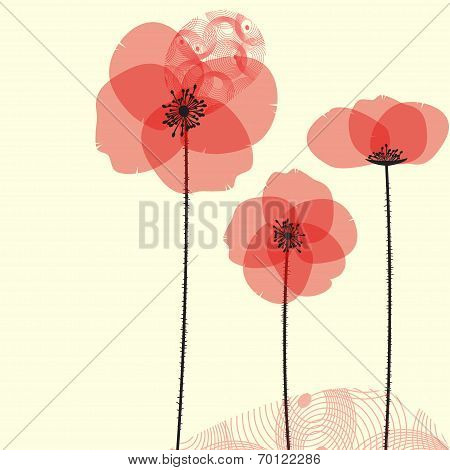 Poppy