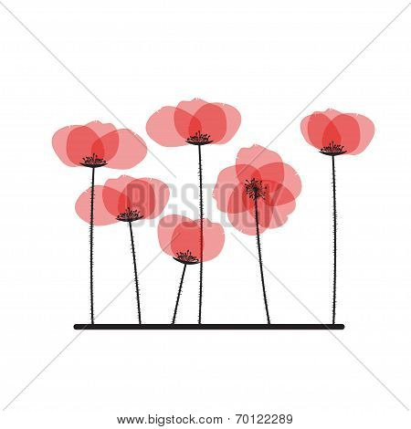 Poppy