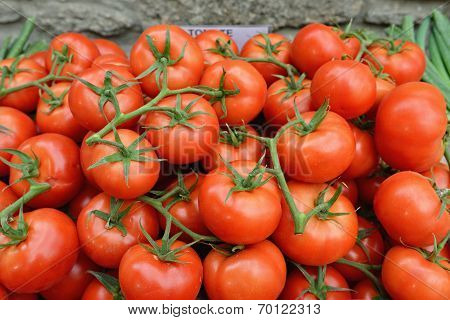 Tomatoes