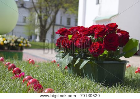 Roses and Easter eggs