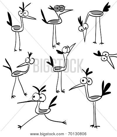 Funny Bird Character