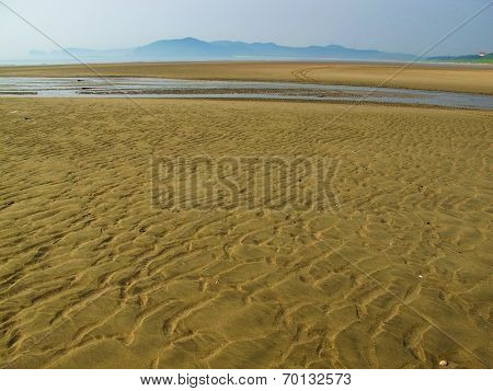 Low Tide Korea