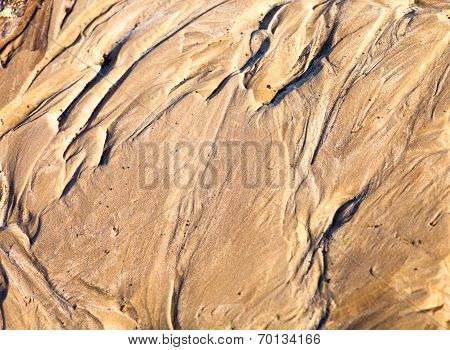 Sand Surface With The Relief Formed By Water Currents