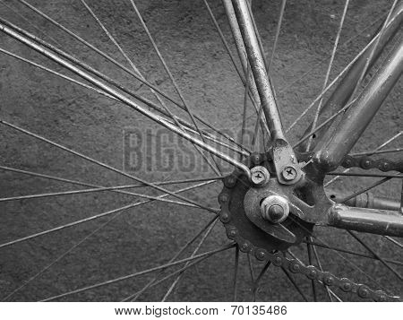 Rear wheel bike