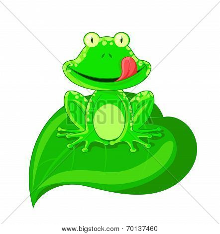 Cute Frog Cartoon