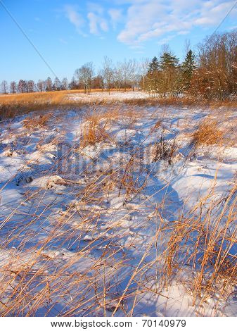 Allerton Park Prairie Illinois
