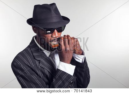 musician plays the harmonica on white background