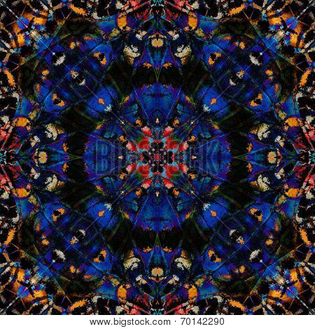 Beautiful of blue and multicolor background made of leopard lacewing butterfly's wing