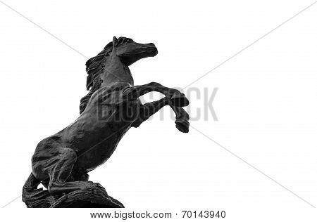 Statues Black Hourses On Isolate