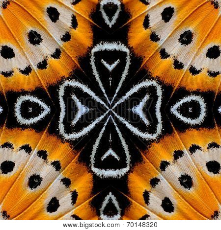 Close up of background pattern made from leopard lacewing butterfly wings skin texture