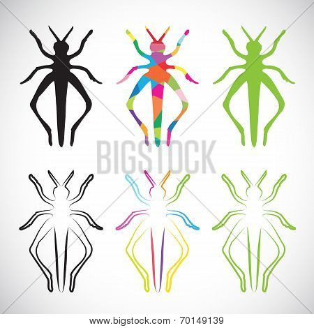 Vector Image Of An Grasshoppers