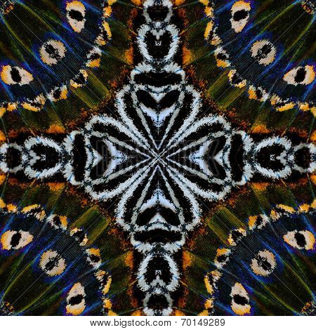 Close Up Of Green And Blue Background Pattern Made From Leopard Lacewing Butterfly Wings Skin Textur