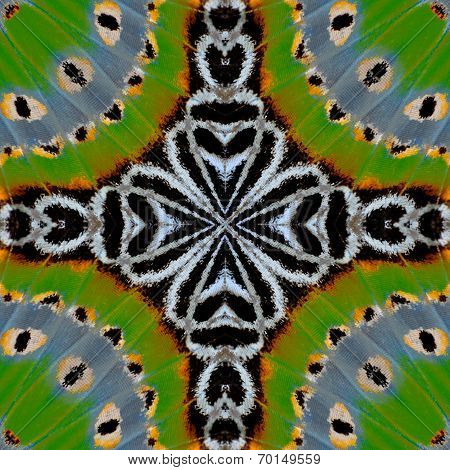 Close Up Of Multicolor Background Pattern Made From Leopard Lacewing Butterfly Wings Skin Texture
