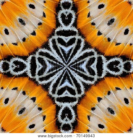 Close Up Of Yellow And White Background Pattern Made From Leopard Lacewing Butterfly Wings Texture