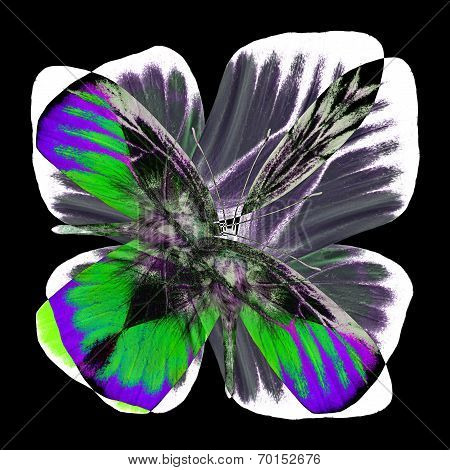 Exotic Brilliant Background With Very Artisty In Shape And Color