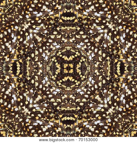 Exotic Brown And Spotted Background Texture Made Of Great Archduke Butterflies