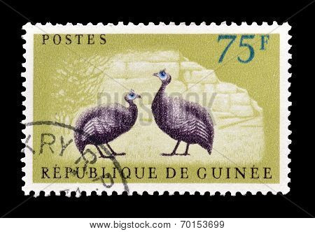 Guinea stamp 1961