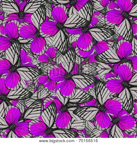 Exotic Of Violet Background Pattern Made Of Fancy Red-spot Sawtooth Butterflies