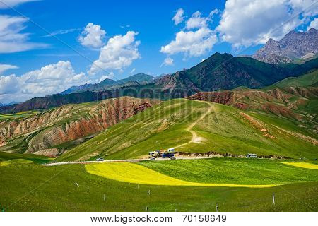 Rape flowers - million hectares of rape flowers beauty