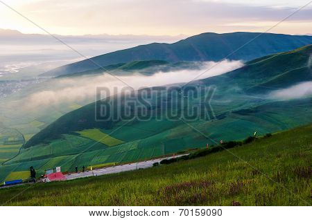 million hectares of rape flowers beauty