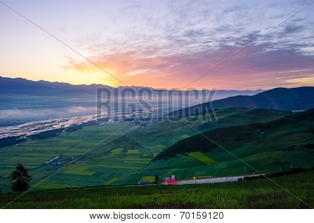 Rape flowers - million hectares of rape flowers beauty