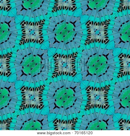 Nice Green Background Patterns Made Of Beautiful Leopard Lacewing Butterfly's Wing
