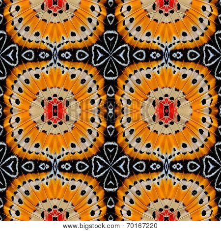 Seamless Background Pattern Made From Leopard Lacewing Butterfly Wings Skin Texture