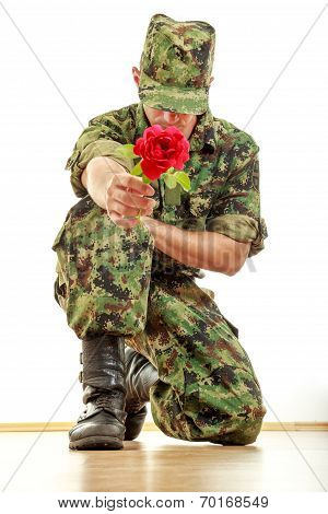 Military Soldier Kneeling Holding Red Rose