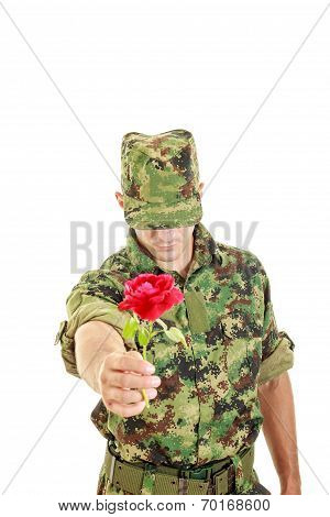 Romantic Soldier In Military Uniform Offering Red Rose