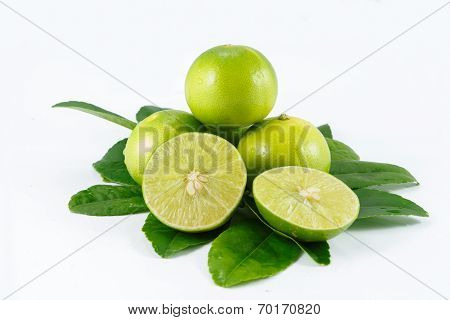 lime lemon and leaf on white background