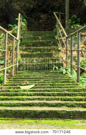 old Lichen Bridge cross river in forest