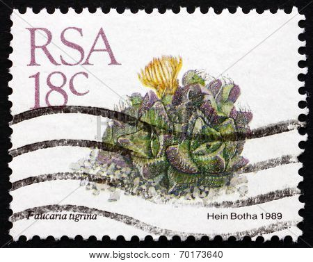 Postage Stamp South Africa 1989 Faucaria Tigrina, Succulent Plan