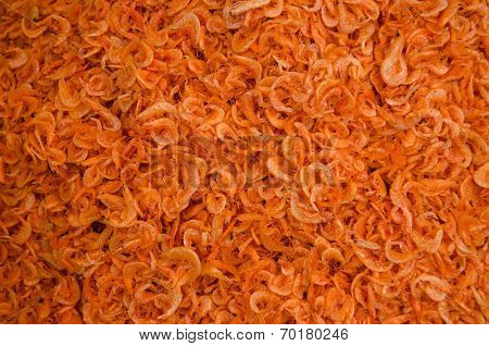 Dried Shrimp