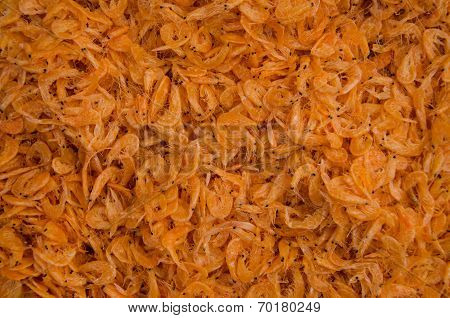 Dried Shrimp
