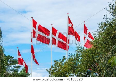Six Danish Flags On Flagpoles