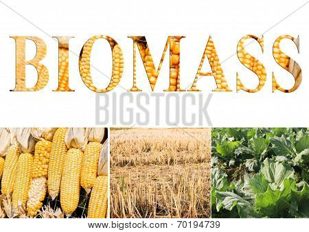 Biomass wording