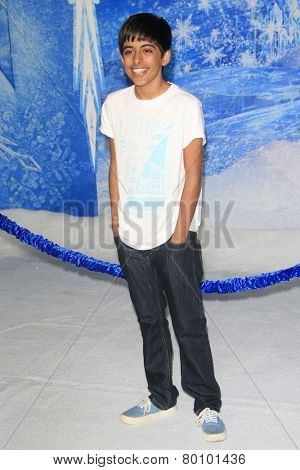 LOS ANGELES - NOV 19: Karan Brar at the premiere of Walt Disney Animation Studios' 'Frozen' at the El Capitan Theater on November 19, 2013 in Los Angeles, CA