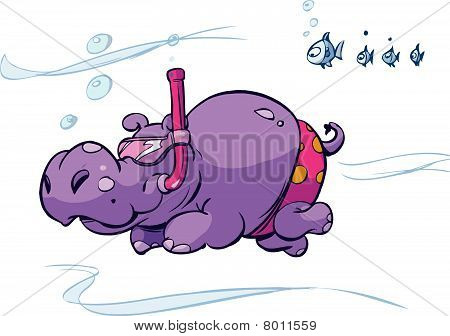 swimming hippo