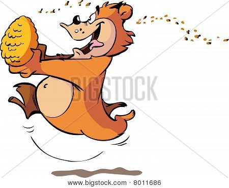 honey bear