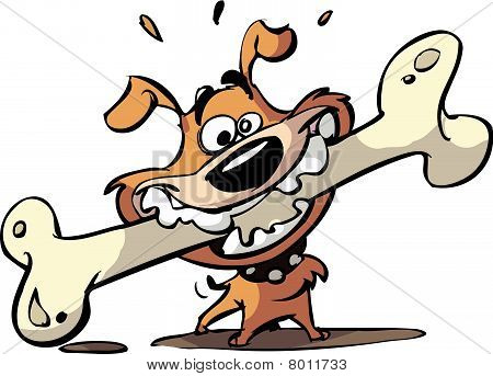 dog with big bone