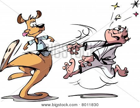 karate kangaroo