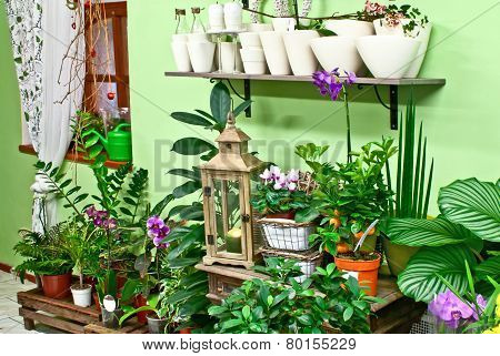 In Flower Shop