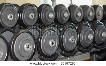 Dumbbells In The Gym