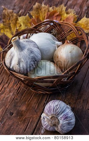 Harvest Onion
