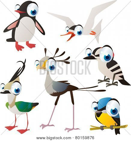 vector isolated cartoon cute animals set: birds: penguin, tern, woodpecker, titmouse, secretary bird, lapwing