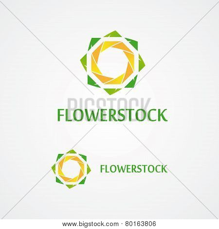 Flowers vector set
