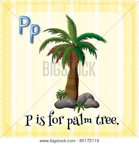 Illustration of an alphabet p is for palm tree