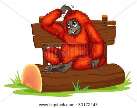 Illustration of an orangutan sitting on a log