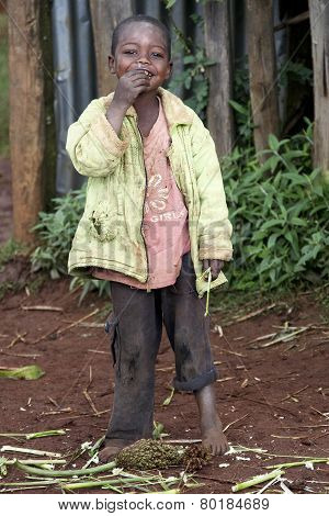 Portrait Of The African Boy.